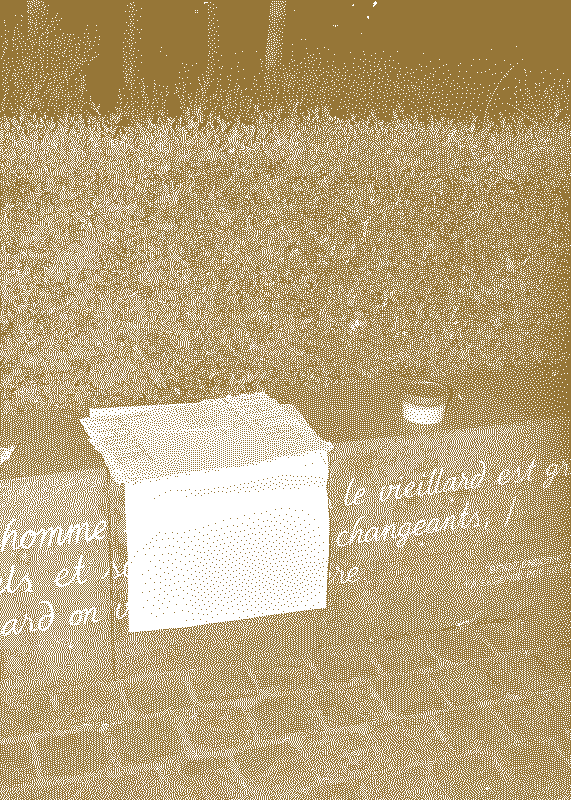  Illustrative visual with an graphical overlay for the posts: Reclaiming our voices 