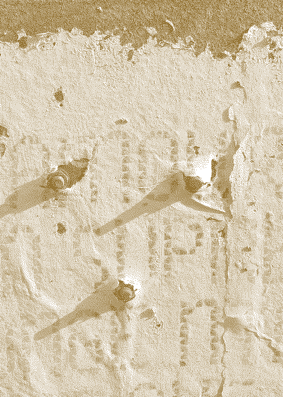  Illustrative visual with an graphical overlay for the posts: Reclaiming our voices 