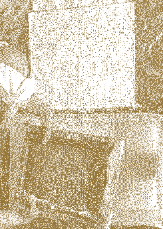  Illustrative visual with an graphical overlay for the posts: Dipping into the pulp 