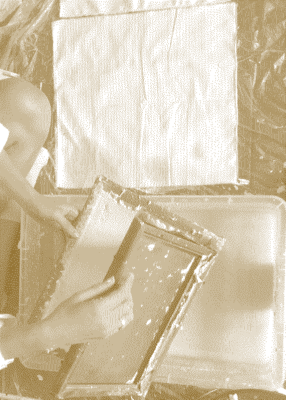  Illustrative visual with an graphical overlay for the posts: Dipping into the pulp 