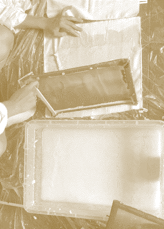  Illustrative visual with an graphical overlay for the posts: Dipping into the pulp 