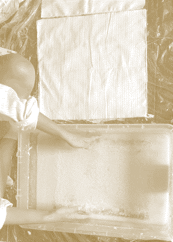  Illustrative visual with an graphical overlay for the posts: Dipping into the pulp 