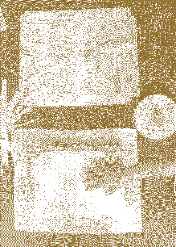  Illustrative visual with an graphical overlay for the posts: Dipping into the pulp 